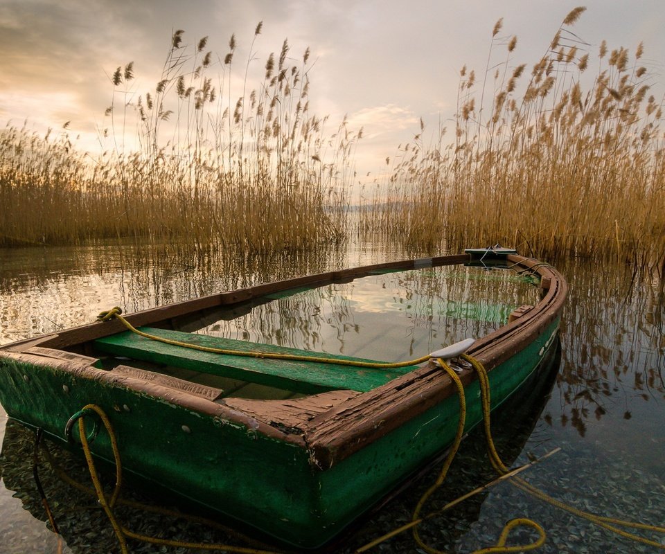 Обои озеро, лодка, камыш, lake, boat, reed разрешение 1920x1300 Загрузить