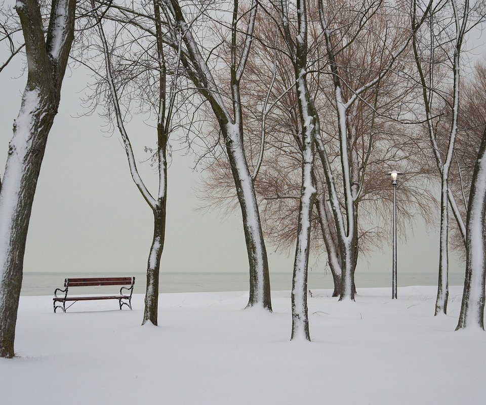 Обои река, берег, зима, скамья, river, shore, winter, bench разрешение 2048x1367 Загрузить