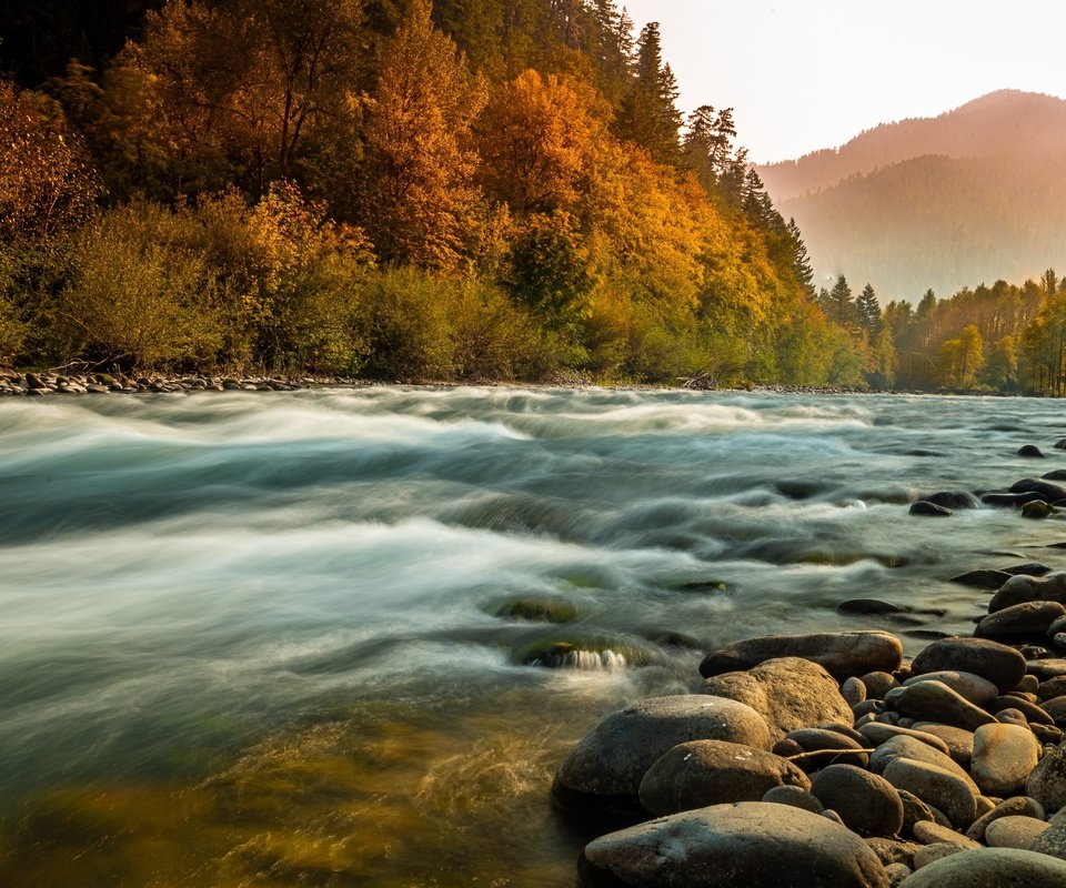 Обои река, природа, камни, лес, пейзаж, туман, осень, берега, river, nature, stones, forest, landscape, fog, autumn, bank разрешение 3000x1776 Загрузить