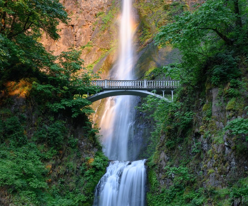 Обои водопад, свет, горы, скалы, зелень, ветки, листва, лето, мост, waterfall, light, mountains, rocks, greens, branches, foliage, summer, bridge разрешение 2880x1920 Загрузить