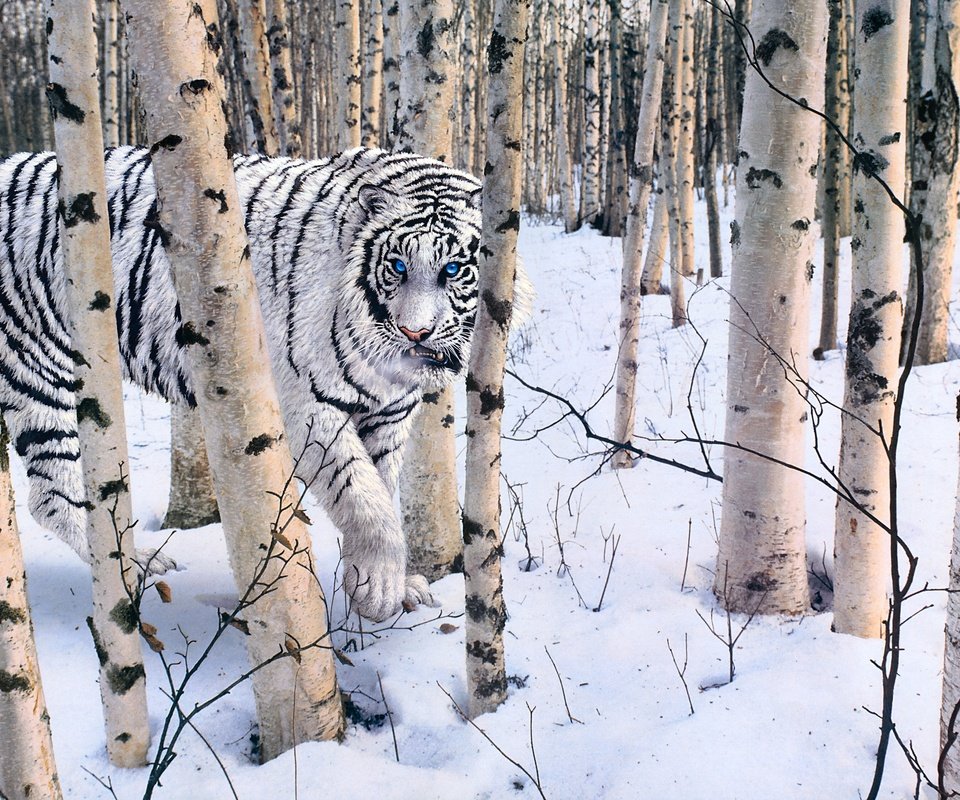 Обои тигр, лес, зима, белый, tiger, forest, winter, white разрешение 4298x2224 Загрузить