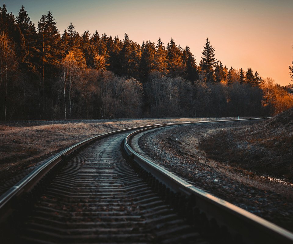 Обои железная дорога, рельсы, лес, осень, railroad, rails, forest, autumn разрешение 3840x2400 Загрузить