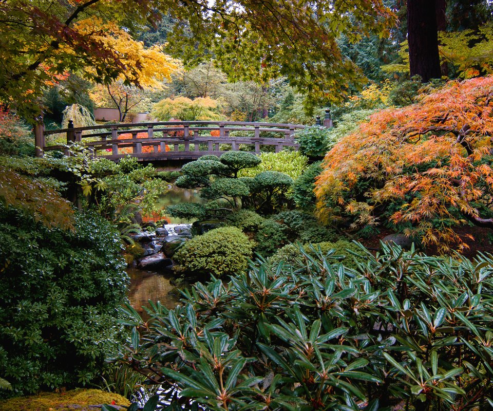 Обои природа, ручей, кусты, мост, сад, сша, японский сад, portland japanese garden, nature, stream, the bushes, bridge, garden, usa, japanese garden разрешение 3957x2507 Загрузить