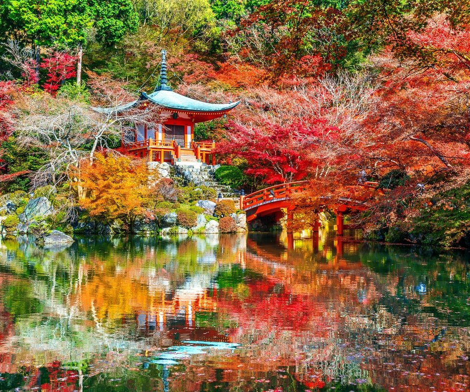 Обои деревья, листья, парк, осень, trees, leaves, park, autumn разрешение 4928x3280 Загрузить