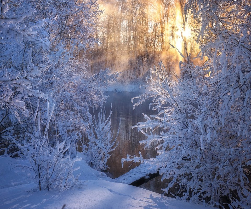 Обои деревья, стужа, река, снег, зима, утро, мороз, россия, алтай, trees, river, snow, winter, morning, frost, russia, altay разрешение 1920x1280 Загрузить