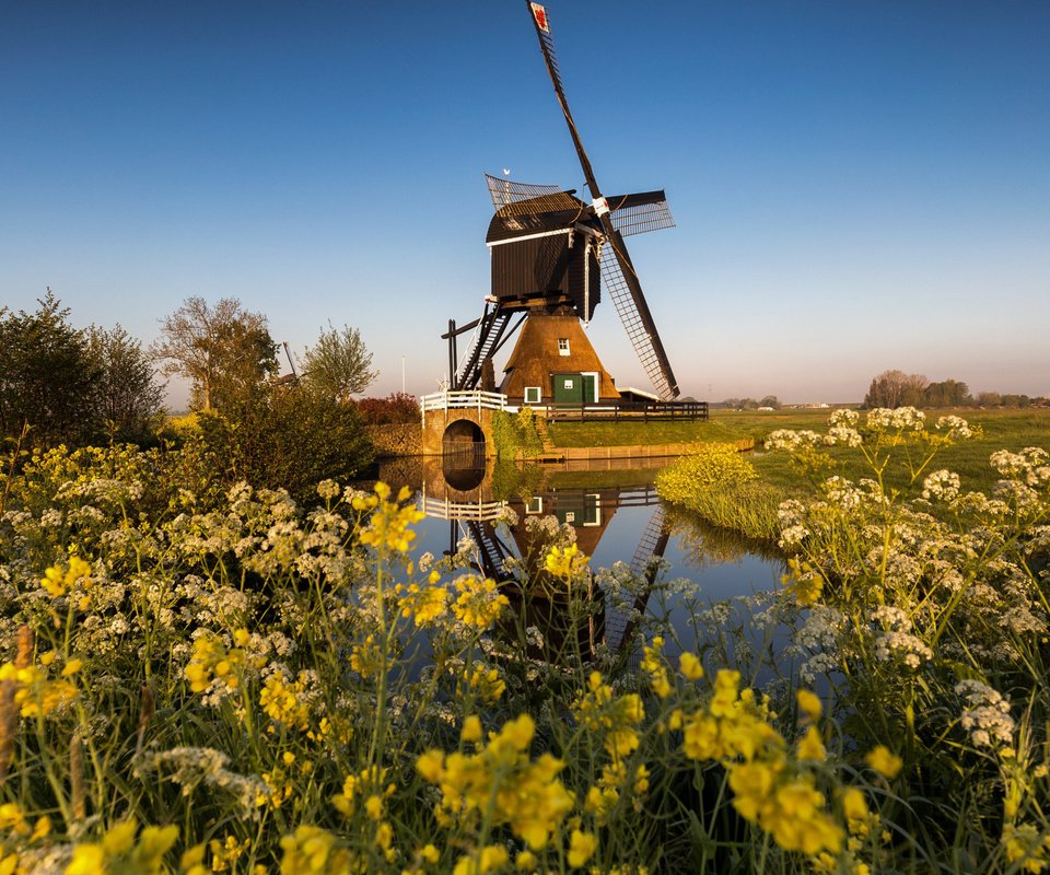 Обои вода, канал, мельница, нидерланды, zuid-holland, water, channel, mill, netherlands разрешение 2112x1188 Загрузить