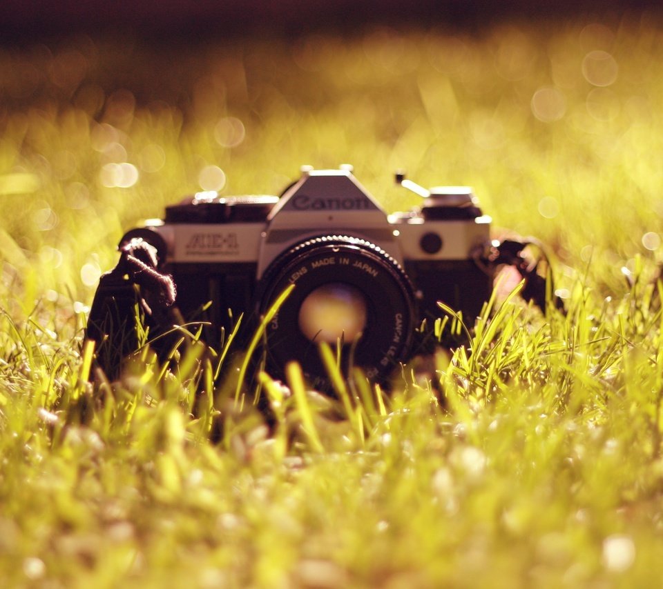 Обои трава, фотоаппарат, объектив, антиквариат, канон, grass, the camera, lens, antiques, canon разрешение 3855x2563 Загрузить