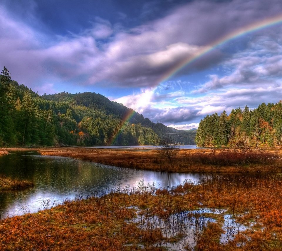 Обои облака, лес, радуга, clouds, forest, rainbow разрешение 1920x1200 Загрузить