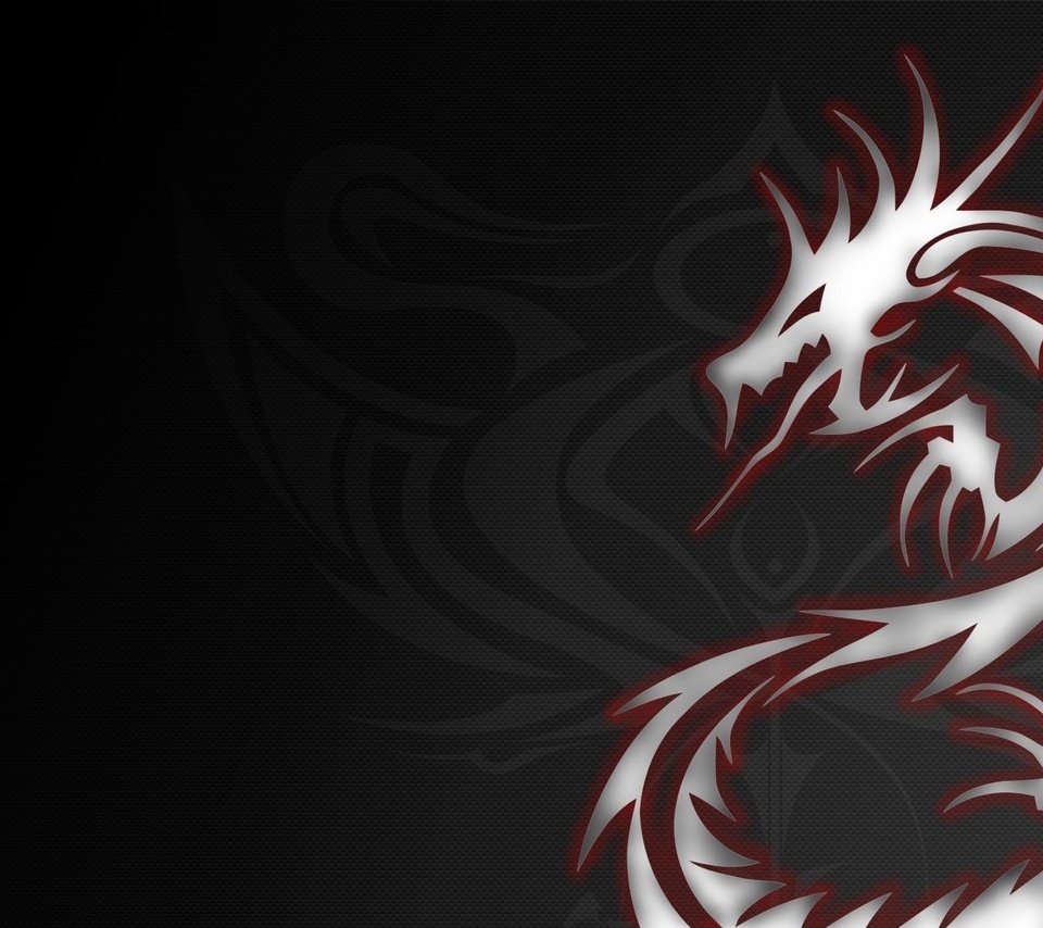 Обои дракон, серый, тату, dragon, grey, tattoo разрешение 1920x1200 Загрузить