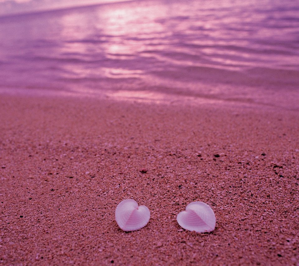 Обои берег, песок, пляж, сердце, ракушки, любовь, розовый, shore, sand, beach, heart, shell, love, pink разрешение 2560x1600 Загрузить