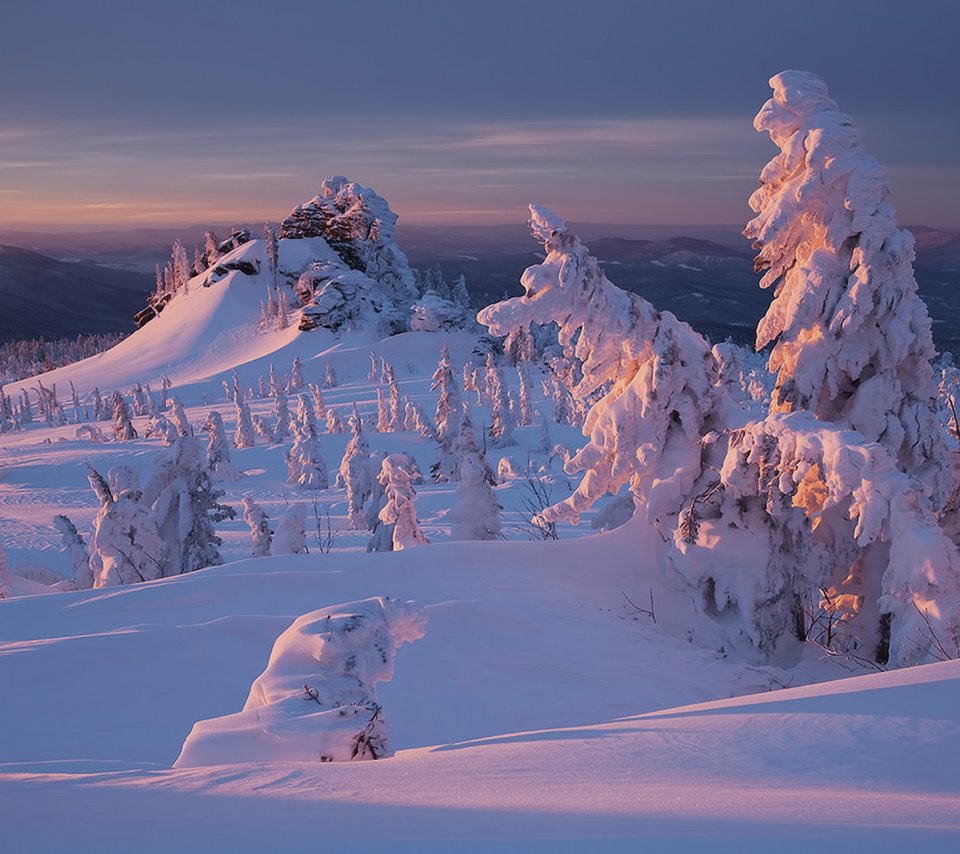 Обои снег, природа, лес, закат, зима, snow, nature, forest, sunset, winter разрешение 1920x1200 Загрузить