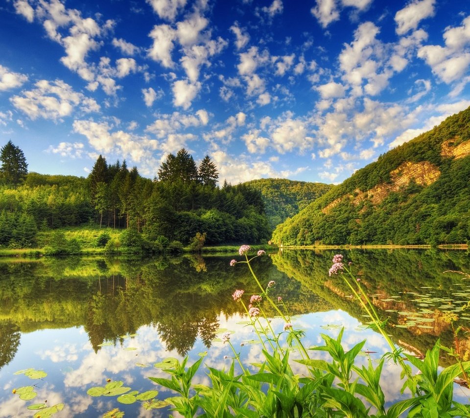 Обои облака, деревья, вода, озеро, лес, отражение, кувшинки, clouds, trees, water, lake, forest, reflection, water lilies разрешение 1920x1200 Загрузить