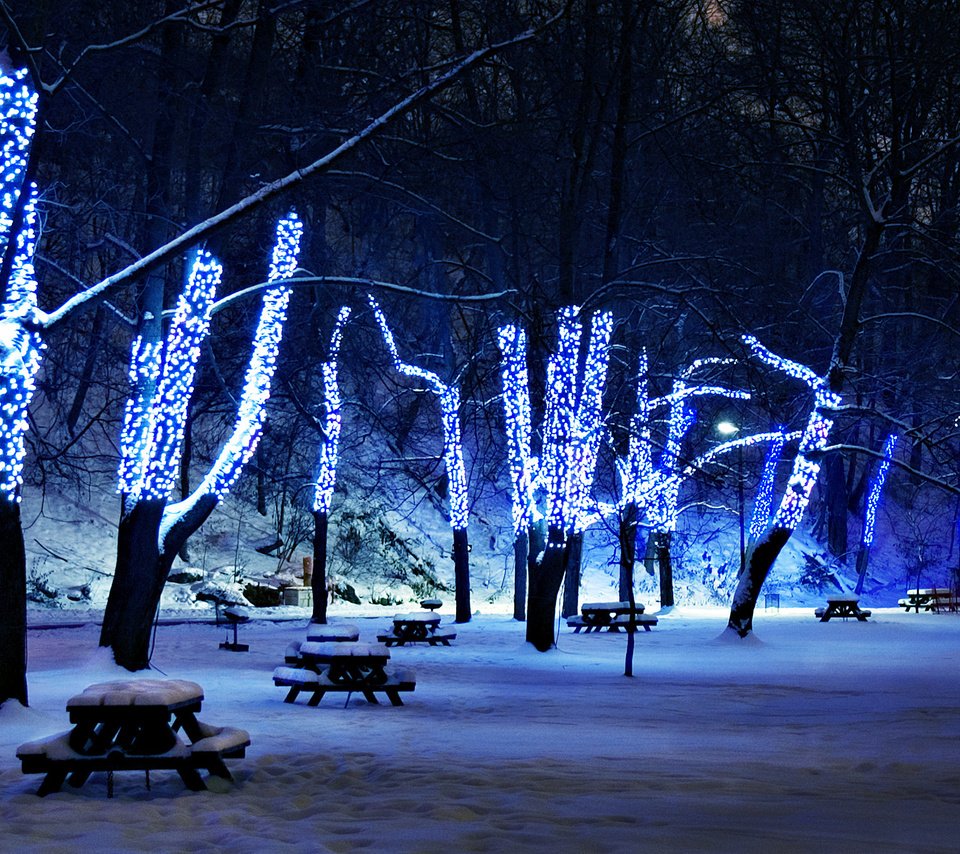 Обои деревья, снег, зима, иллюминация, праздник, рождественские огни, trees, snow, winter, illumination, holiday разрешение 2048x1365 Загрузить