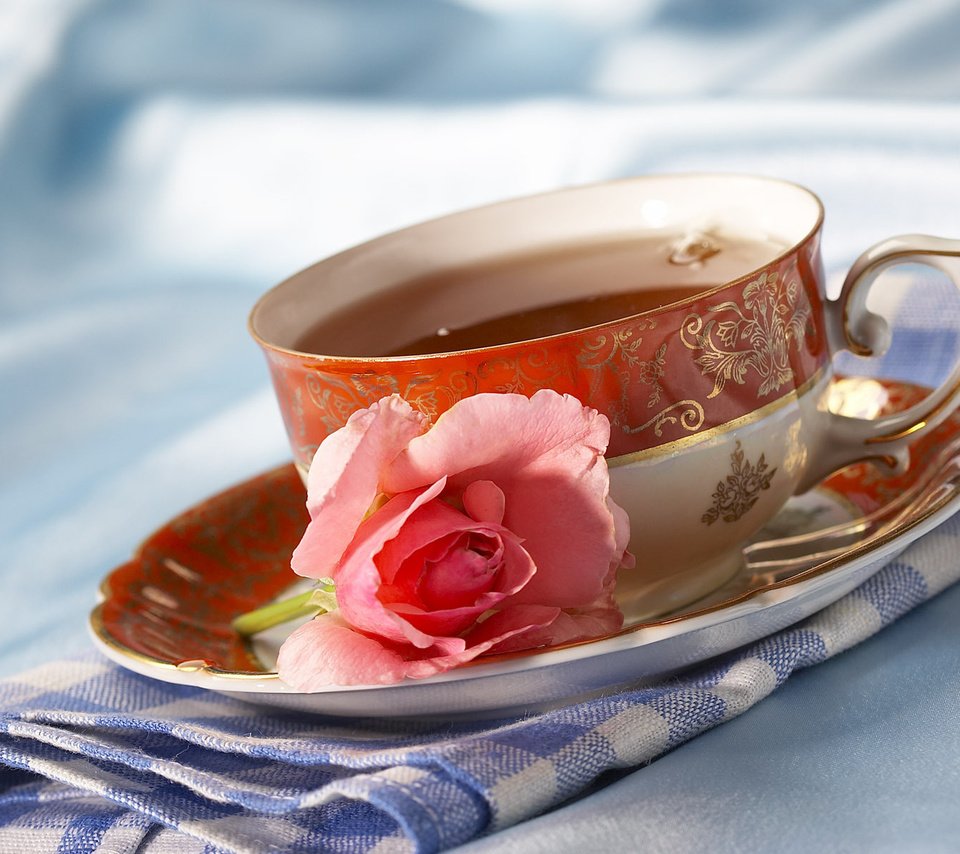 Обои цветок, роза, чашка, чай, салфетка, чаепитие, flower, rose, cup, tea, napkin, the tea party разрешение 1920x1200 Загрузить