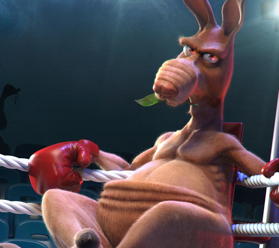 Обои кенгуру, бокс, ринг, kangaroo, boxing, the ring разрешение 1920x1200 Загрузить