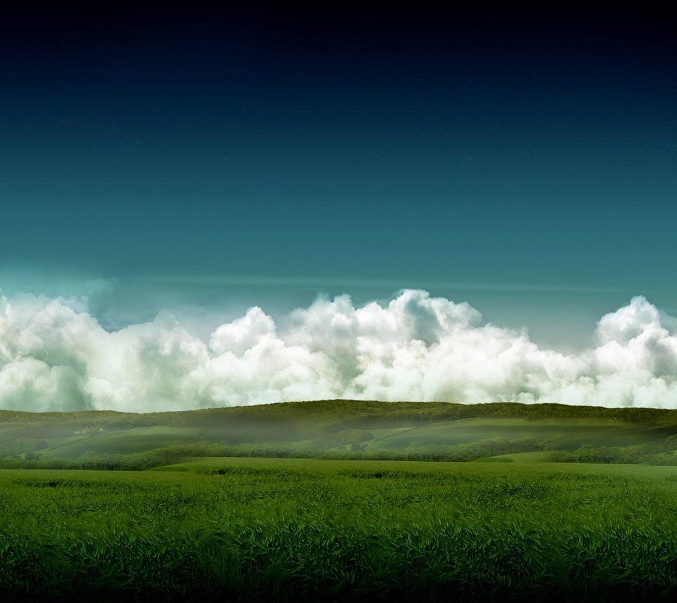 Обои небо, трава, поле, небеса, the sky, grass, field, heaven разрешение 2560x1600 Загрузить