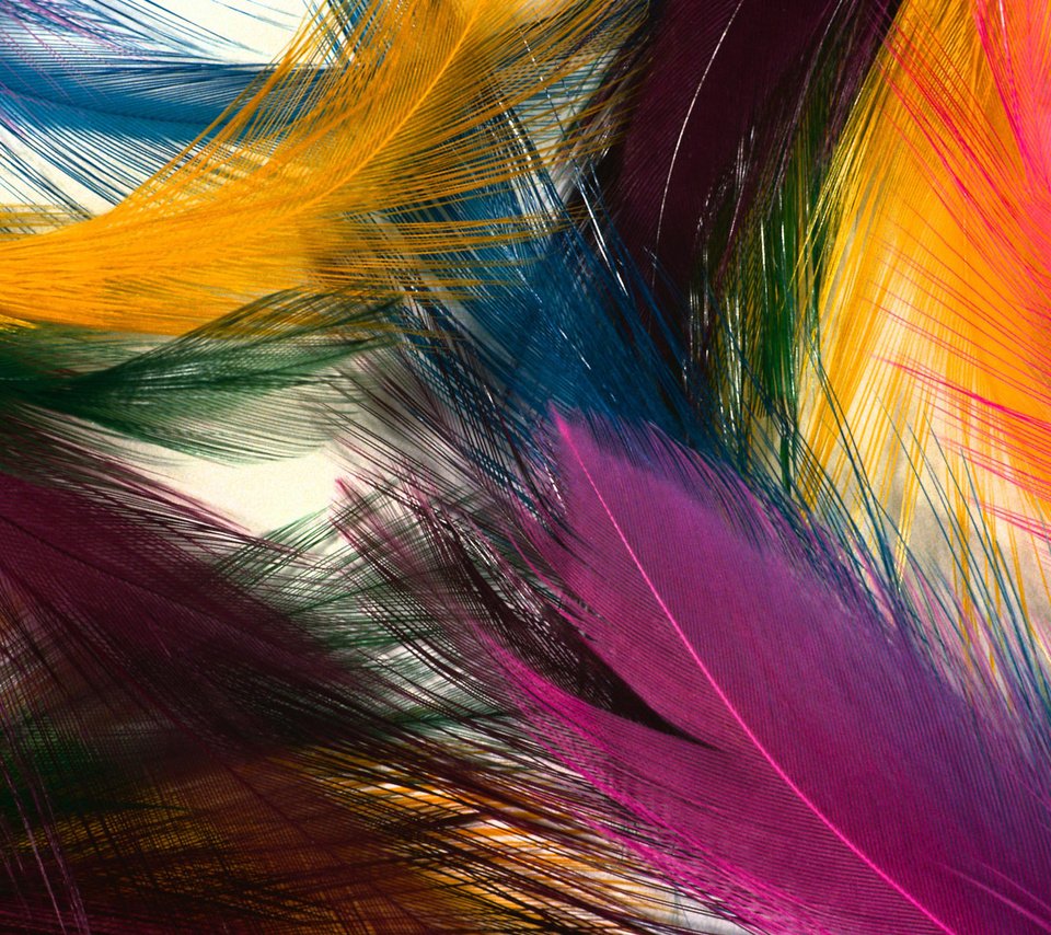Обои текстура, цвета, перья, яркие, texture, color, feathers, bright разрешение 1920x1200 Загрузить