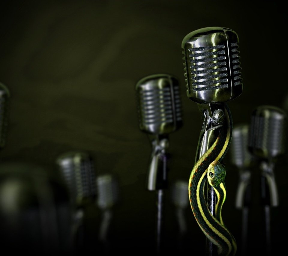 Обои микрофон, змея, microphone, snake разрешение 1920x1200 Загрузить