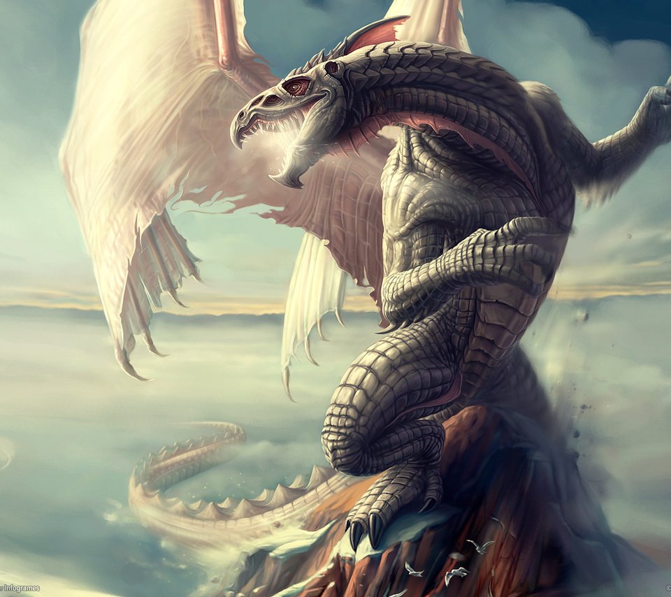Обои дракон, neverwinter nights, чешуя, dragon, scales разрешение 1920x1200 Загрузить
