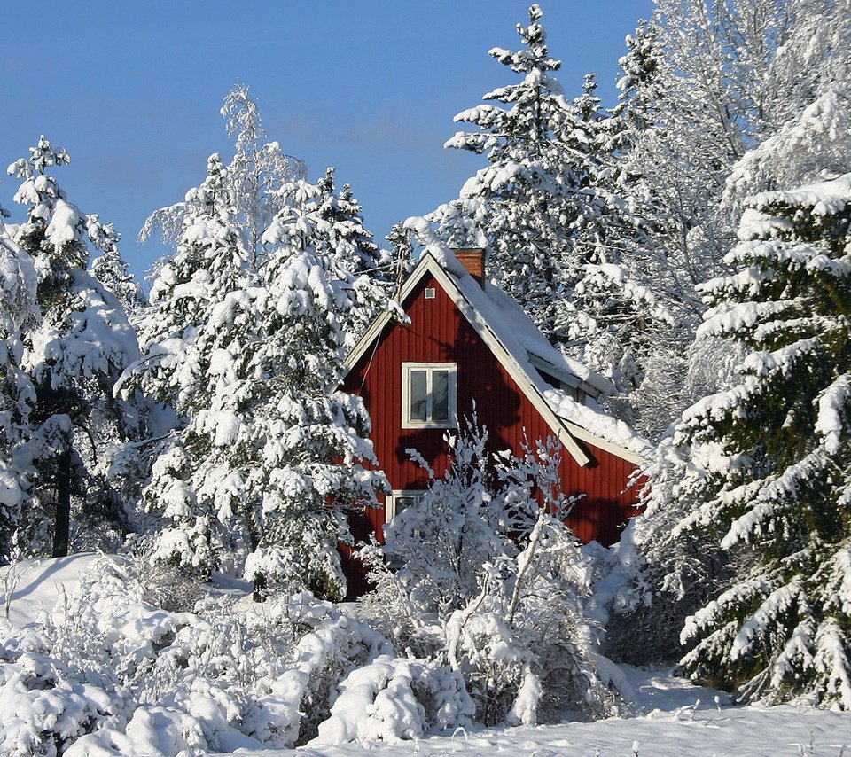 Обои деревья, зима, дом, trees, winter, house разрешение 1920x1200 Загрузить