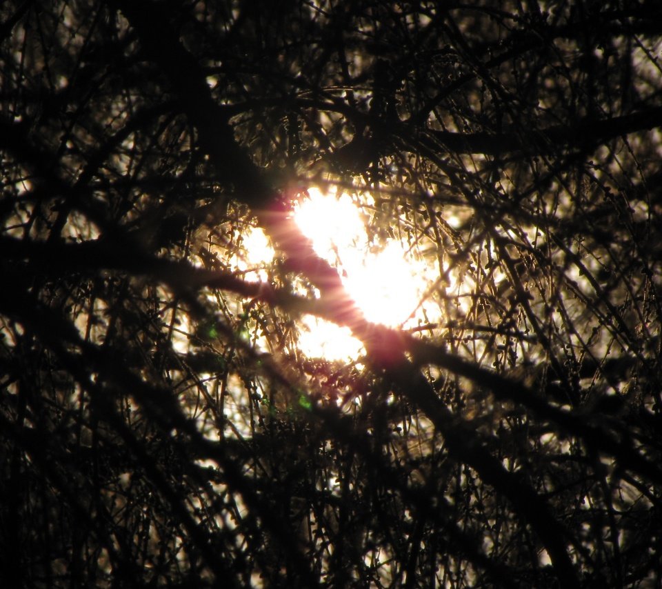 Обои солнце, лес, надежда, the sun, forest, hope разрешение 3648x2048 Загрузить