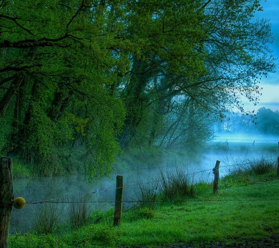 Обои река, утро, туман, луг, river, morning, fog, meadow разрешение 2560x1600 Загрузить