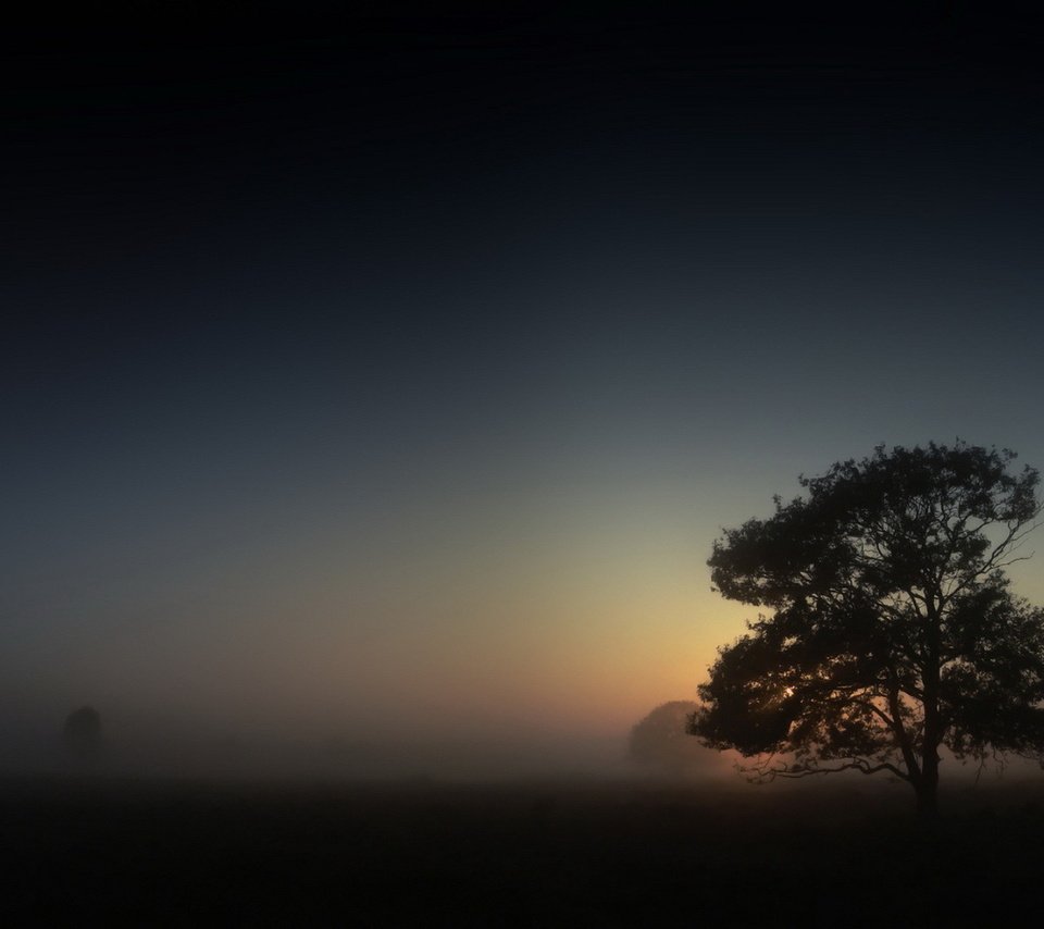 Обои дерево, утро, туман, tree, morning, fog разрешение 1920x1200 Загрузить