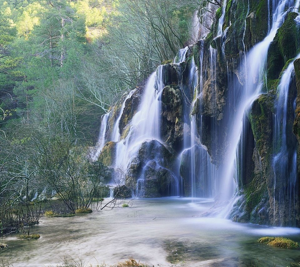 Обои деревья, лес, водопад, trees, forest, waterfall разрешение 1920x1200 Загрузить