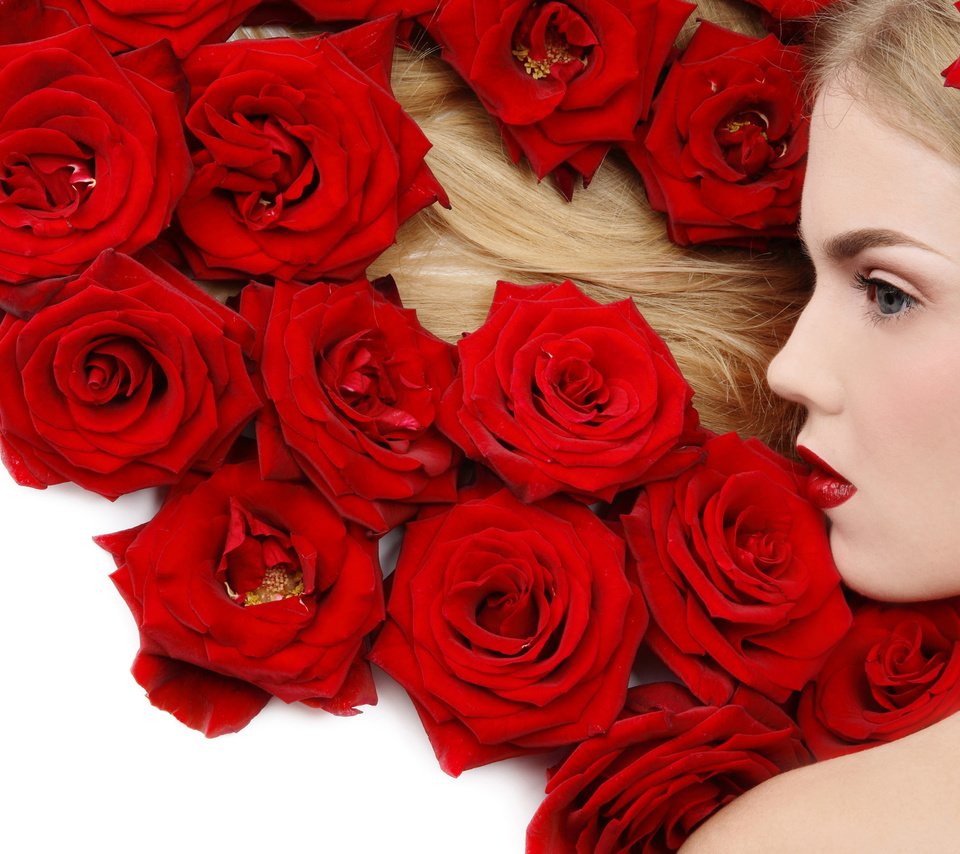 Обои цветы, девушка, блондинка, роза, красный, flowers, girl, blonde, rose, red разрешение 2560x1600 Загрузить