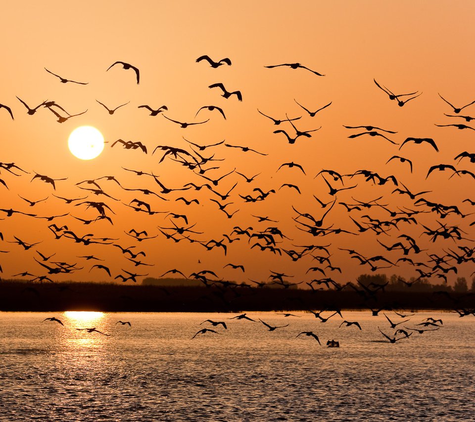 Обои закат, чайки, волга, sunset, seagulls, volga разрешение 1918x1080 Загрузить