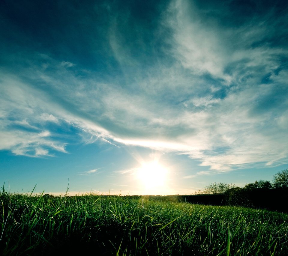 Обои небо, трава, облака, закат, синий, зеленая, the sky, grass, clouds, sunset, blue, green разрешение 2560x1600 Загрузить