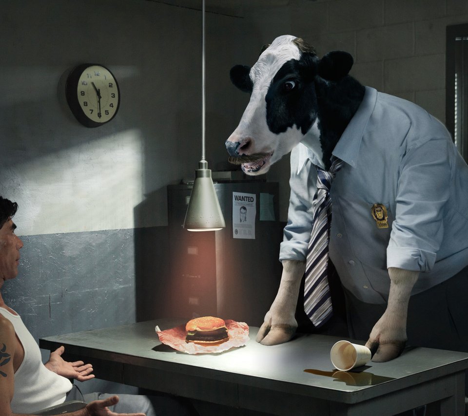 Обои корова, допрос, следователь, cow, questioning, the investigator разрешение 2000x1325 Загрузить