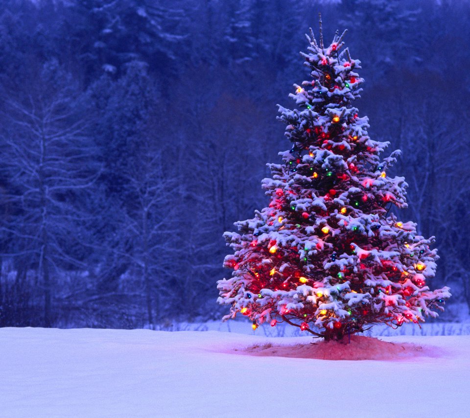 Обои огни, снег, елка, подсветка, lights, snow, tree, backlight разрешение 2000x1333 Загрузить