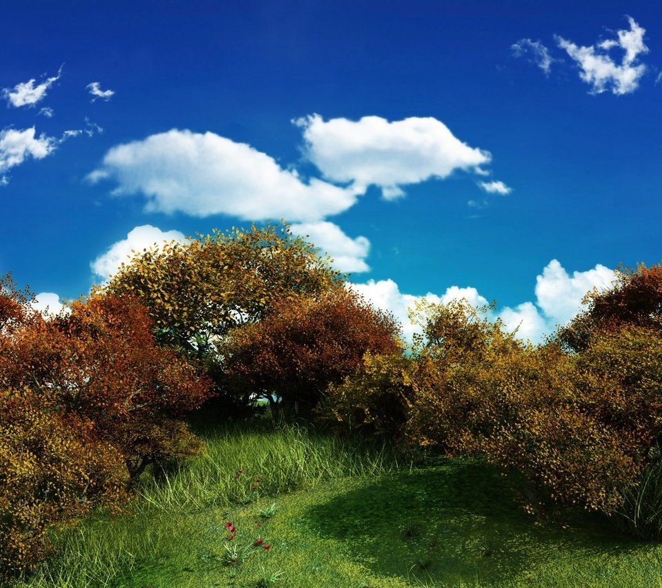 Обои небо, облака, зелень, куст, the sky, clouds, greens, bush разрешение 2560x1600 Загрузить