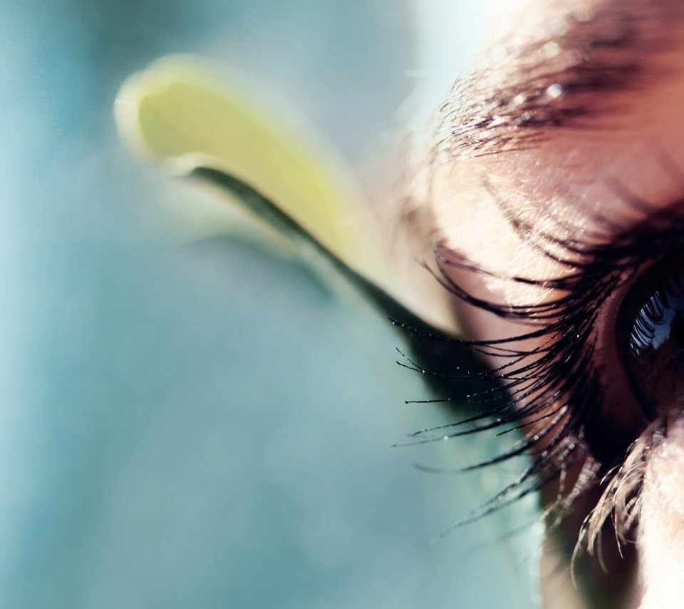 Обои макро, взгляд, глаз, ресницы, macro, look, eyes, eyelashes разрешение 2560x1517 Загрузить