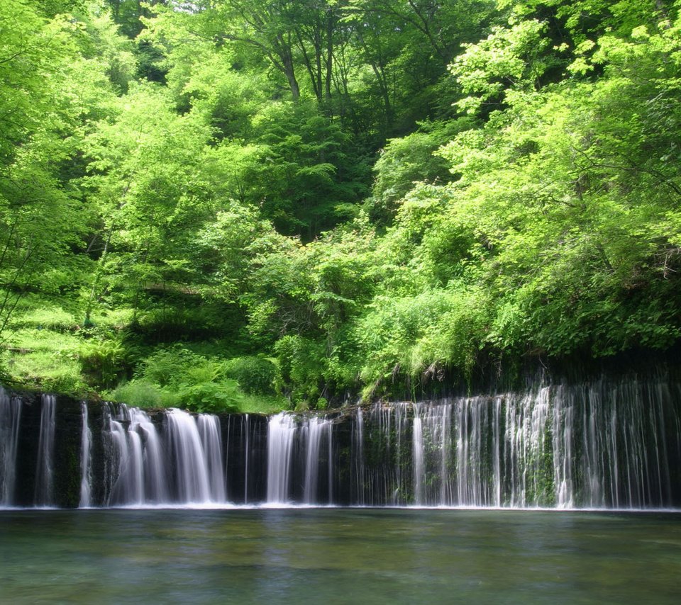 Обои вода, лес, водопад, water, forest, waterfall разрешение 1920x1200 Загрузить