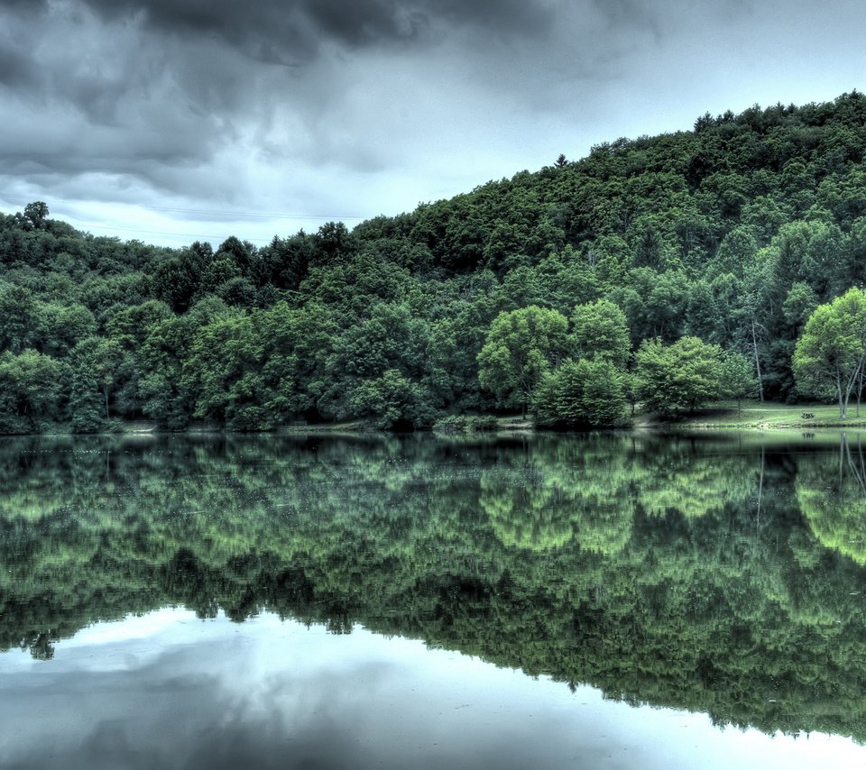 Обои вода, лес, отражение, water, forest, reflection разрешение 2560x1600 Загрузить