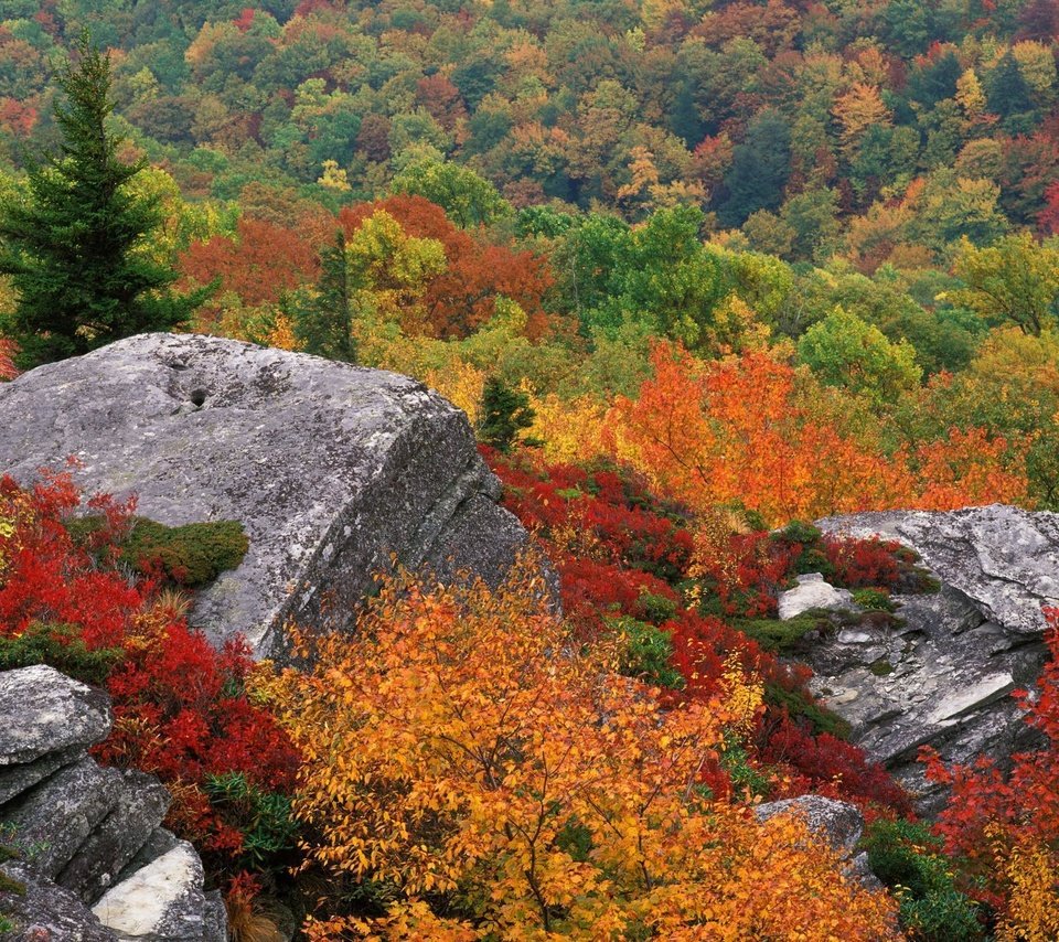 Обои небо, деревья, природа, осень, камень, the sky, trees, nature, autumn, stone разрешение 1999x1333 Загрузить