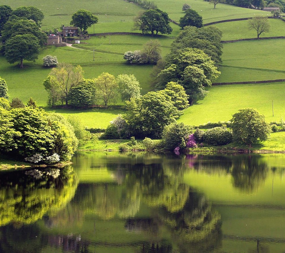 Обои озеро, зелень, отражение, lake, greens, reflection разрешение 2560x1600 Загрузить