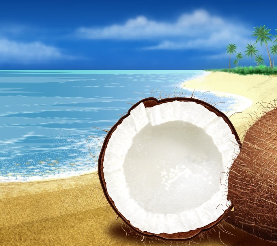 Обои море, песок, кокос, sea, sand, coconut разрешение 1920x1200 Загрузить