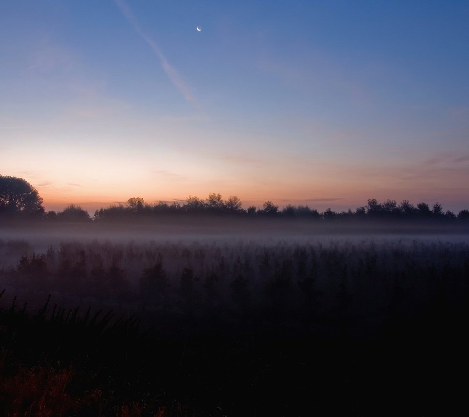 Обои туман, поле, луна, fog, field, the moon разрешение 1920x1440 Загрузить