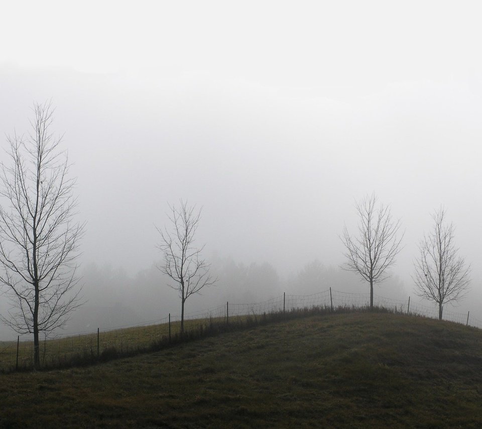 Обои деревья, туман, забор, холм, trees, fog, the fence, hill разрешение 1920x1440 Загрузить