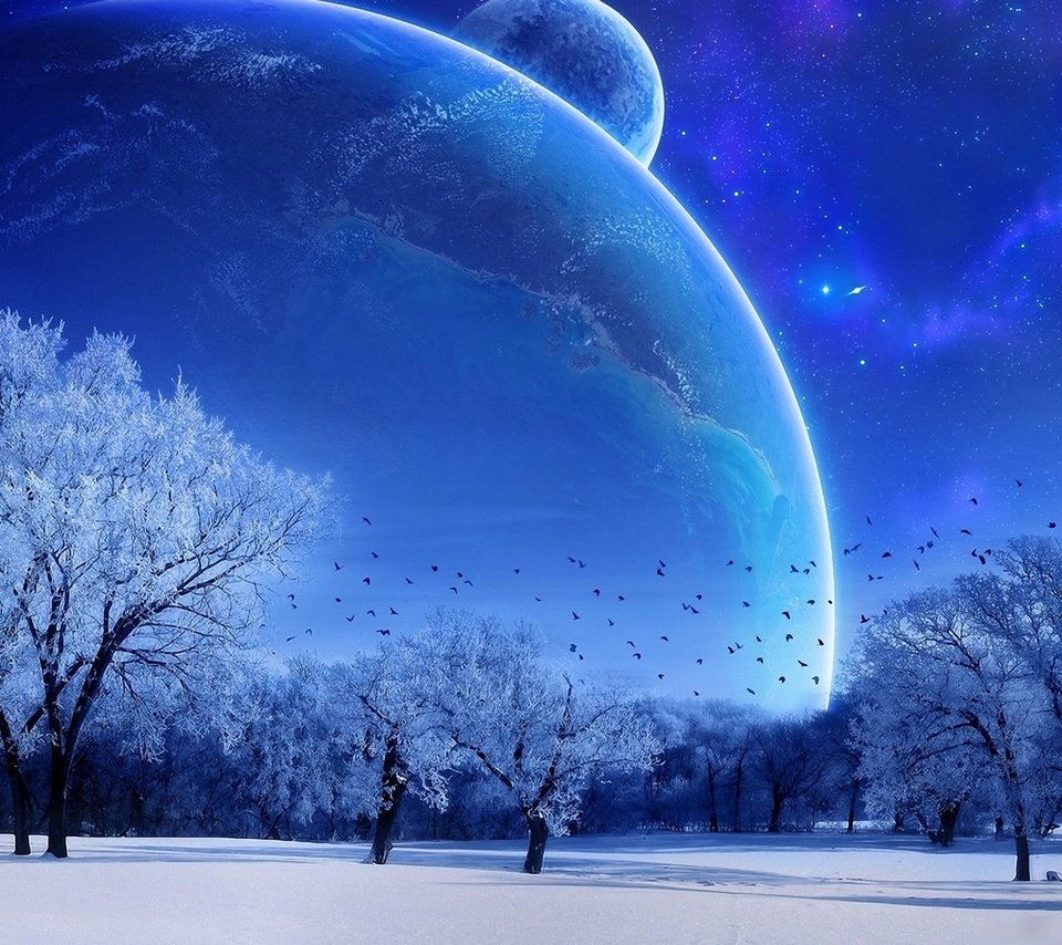 Обои небо, деревья, зима, луна, голубой, the sky, trees, winter, the moon, blue разрешение 1920x1200 Загрузить