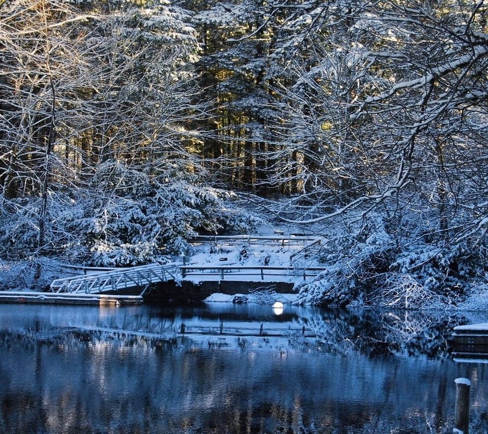 Обои деревья, вода, озеро, снег, зима, мост, trees, water, lake, snow, winter, bridge разрешение 1920x1080 Загрузить