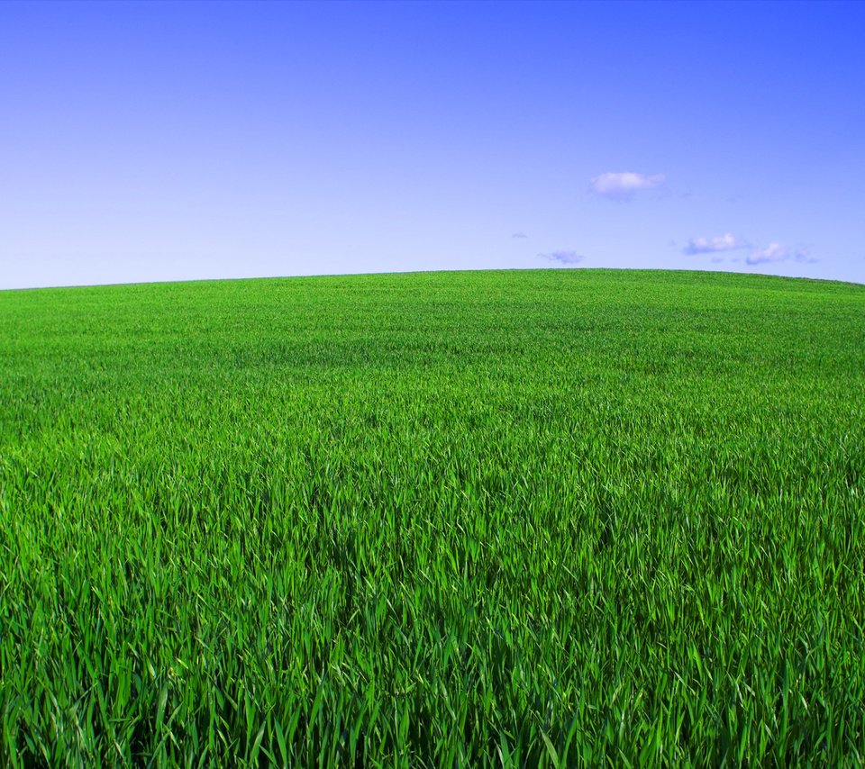 Обои небо, трава, зелёный, поле, горизонт, the sky, grass, green, field, horizon разрешение 2560x1600 Загрузить