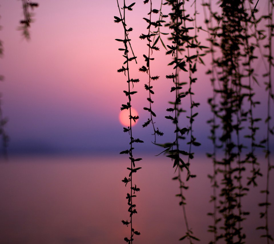 Обои озеро, закат, китай, lake, sunset, china разрешение 2560x1600 Загрузить