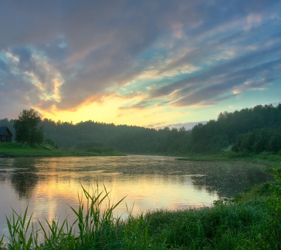 Обои трава, озеро, лес, отражение, grass, lake, forest, reflection разрешение 1920x1080 Загрузить