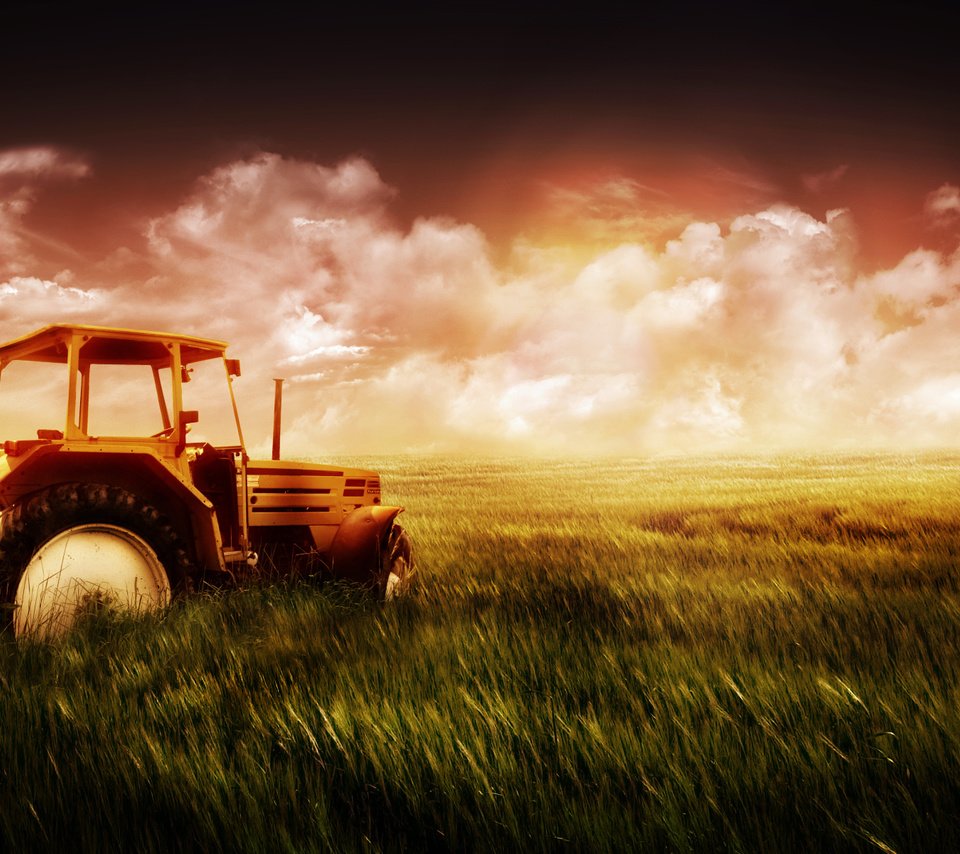 Обои небо, трава, поле, пшеница, трактор, the sky, grass, field, wheat, tractor разрешение 1920x1200 Загрузить