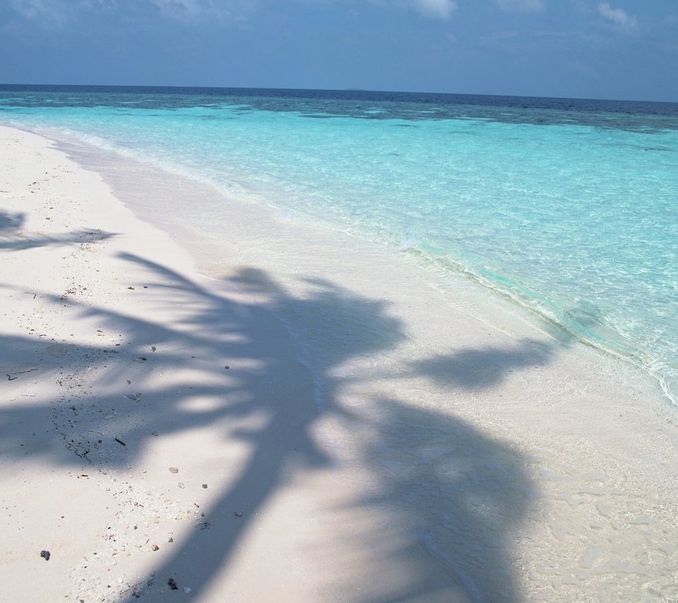 Обои пляж, побережье, тень, океан, пальма, beach, coast, shadow, the ocean, palma разрешение 1920x1200 Загрузить