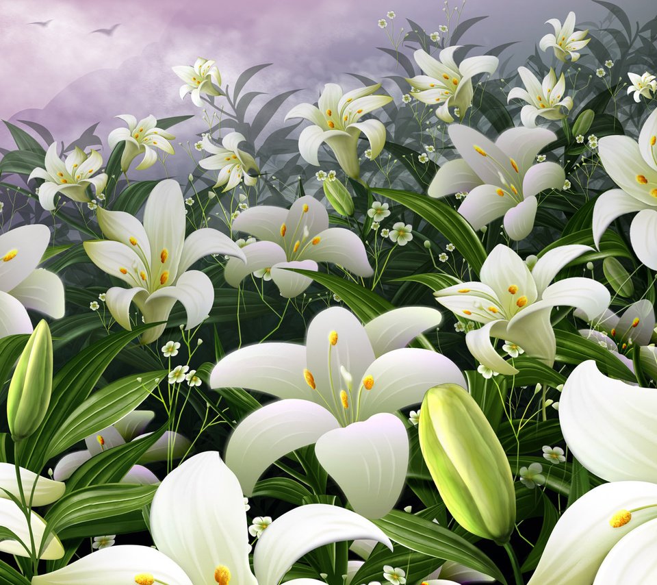 Обои цветы, сад, лилии, почки, flowers, garden, lily, kidney разрешение 1920x1200 Загрузить